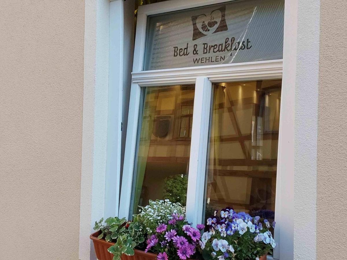 Bed And Breakfast Wehlen 스타트벨렌 외부 사진